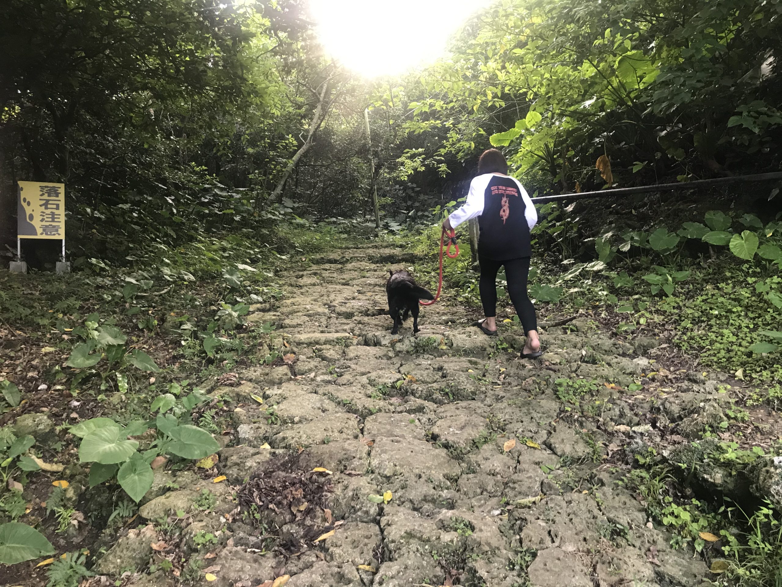 垣花樋川 かきのはなひーじゃー で愛犬とお散歩 沖縄県南城市 黒犬ライチの日常 Kuroinuraichi