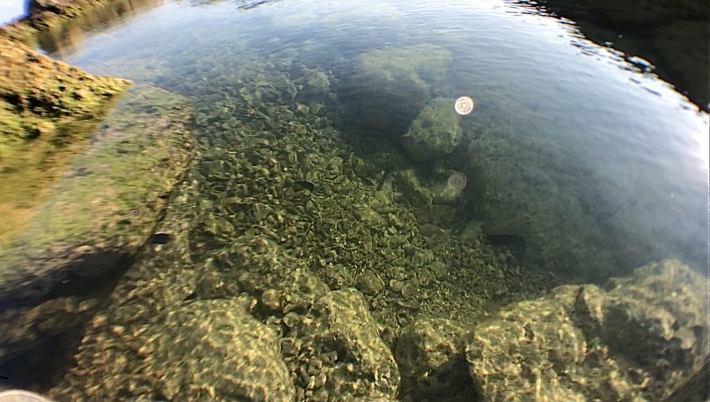 透明度の高い海